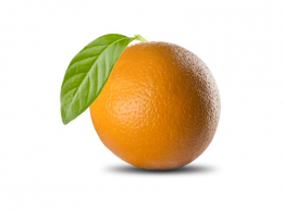 Pomeranč Navel - velký