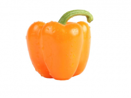 Oranžová paprika