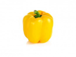 Žlutá paprika