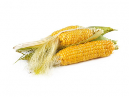 Kukuřice - kg
