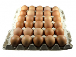Plato vajec o velikosti: M - 53 až 63g