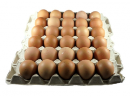 Plato vajec o velikosti: L - 63 až 73g