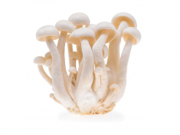 Shimeji houby - bílé